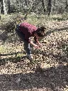 Améthyste-Auvergne-Taohé (7).webp